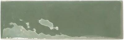 129061 На стену Rebels Moss Gloss 5х15