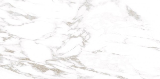 GRS01-19 На пол Ellora Lotus 60x120 - фото 5