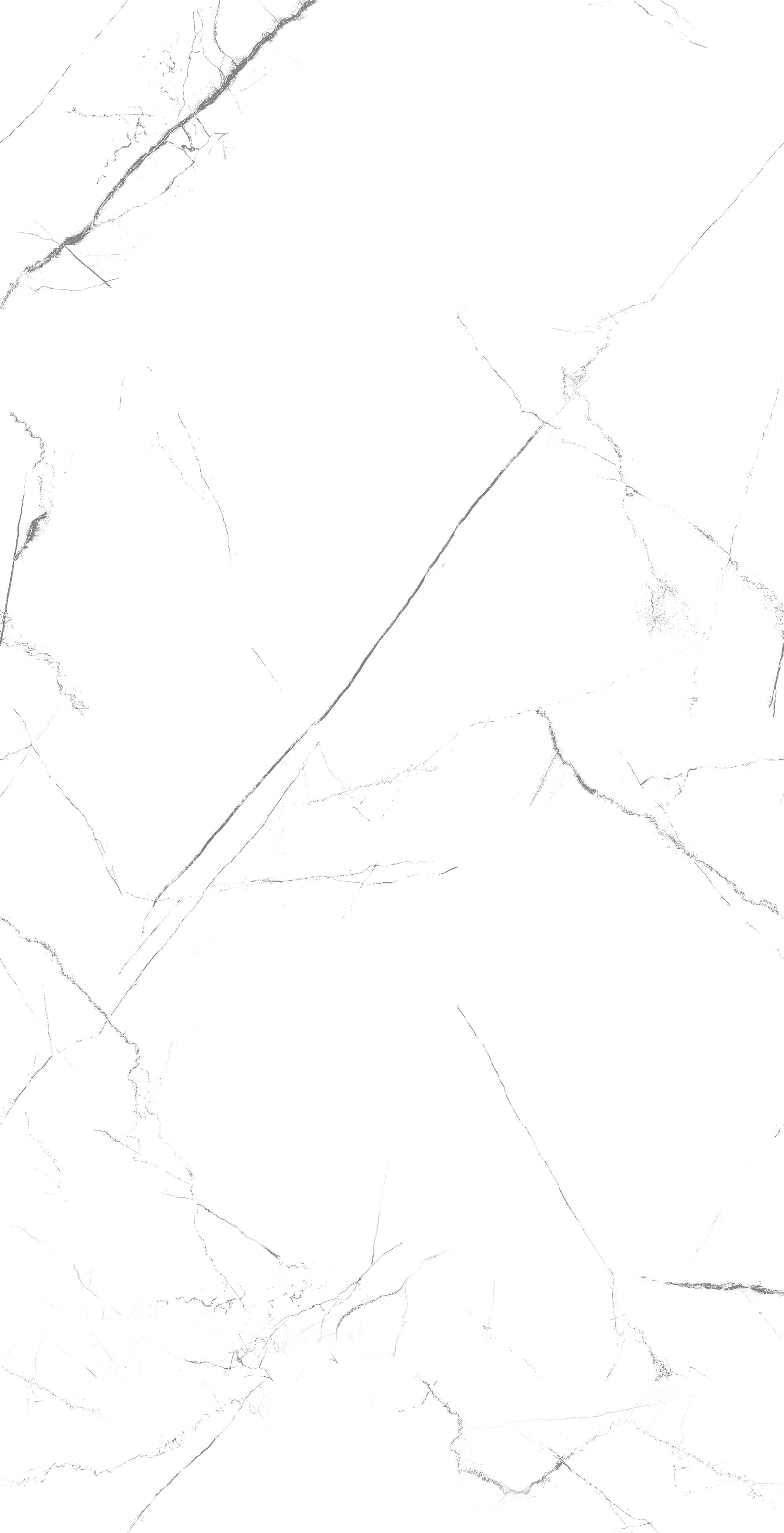 MOG101/PS_NC/60x120x9R/GW На пол Marble MOG101 White 120x60 Полированный Рект. - фото 4