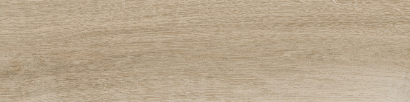 KM1040G0001N На пол Аргания Бежевый светлый матовый 9.9x40.2x0.8 - фото 3