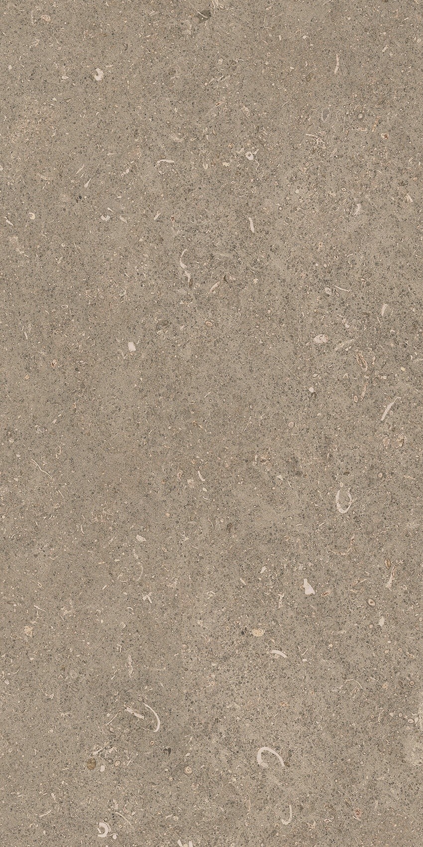 785490 На пол Rinascenza Arena Pietra Matte 30x60 - фото 5