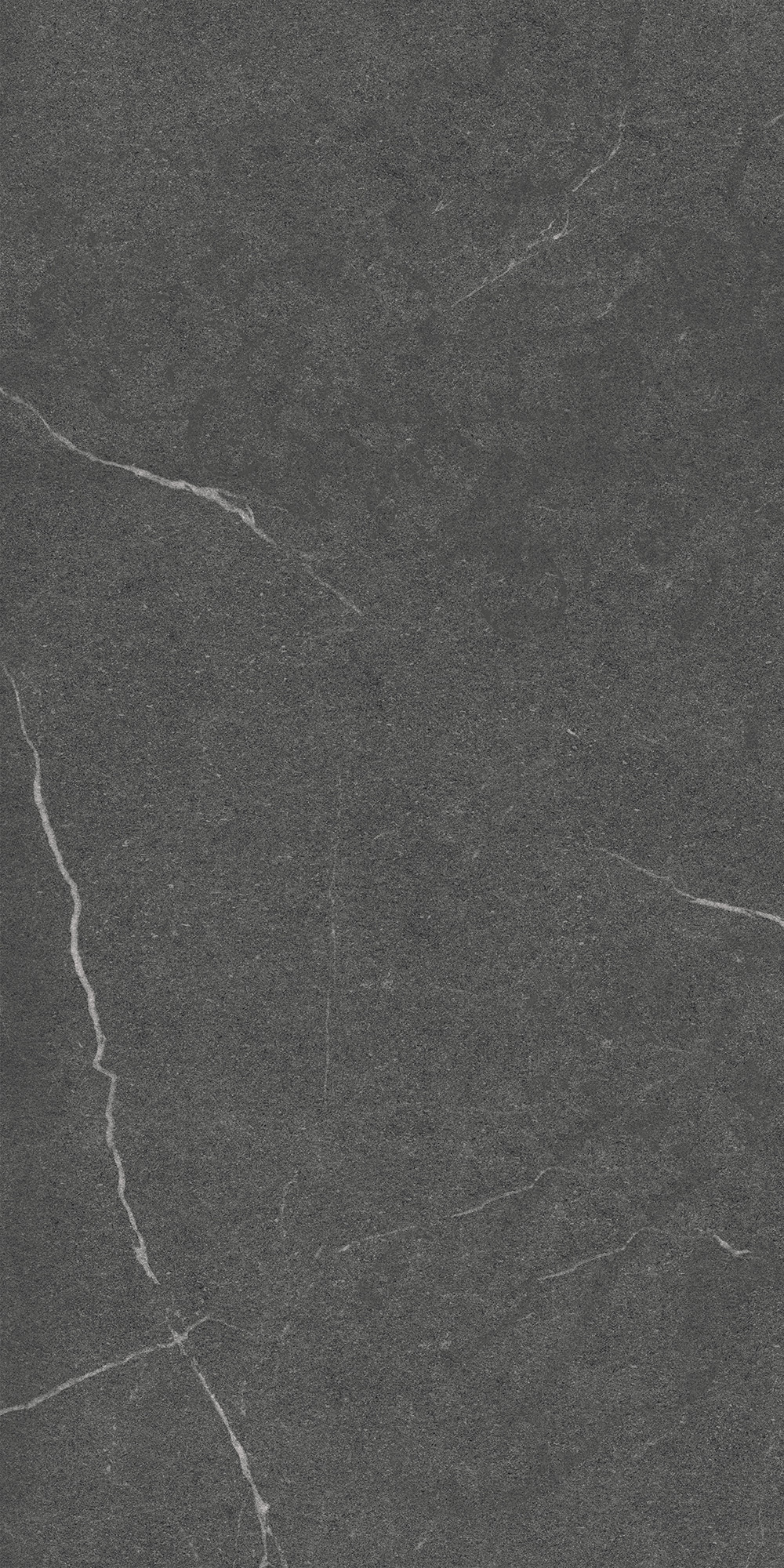 GT1206014305MCR На пол Lakeside Черный 60x120 - фото 4