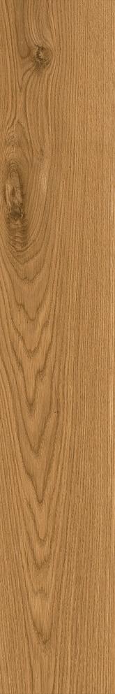 CAI8 На пол Izumi IZ08 Miele Classico SP SQ 20x120