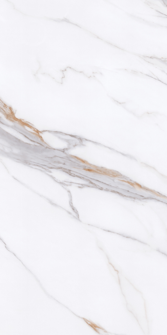 PT12P7059 На пол Bianco Pol 1200х600х9