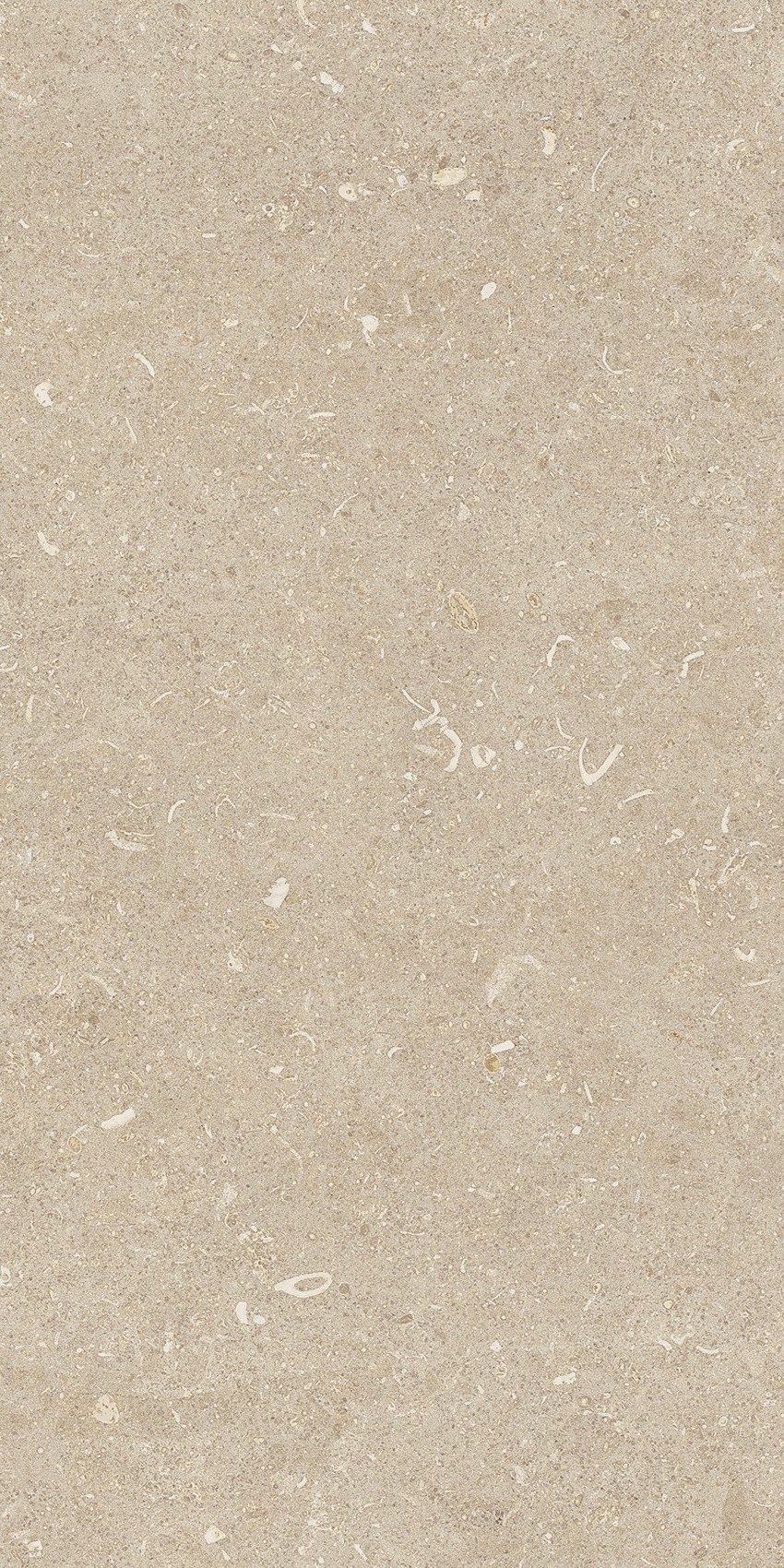 785501 На пол Rinascenza Arena Conchiglia Grip 30x60 - фото 7