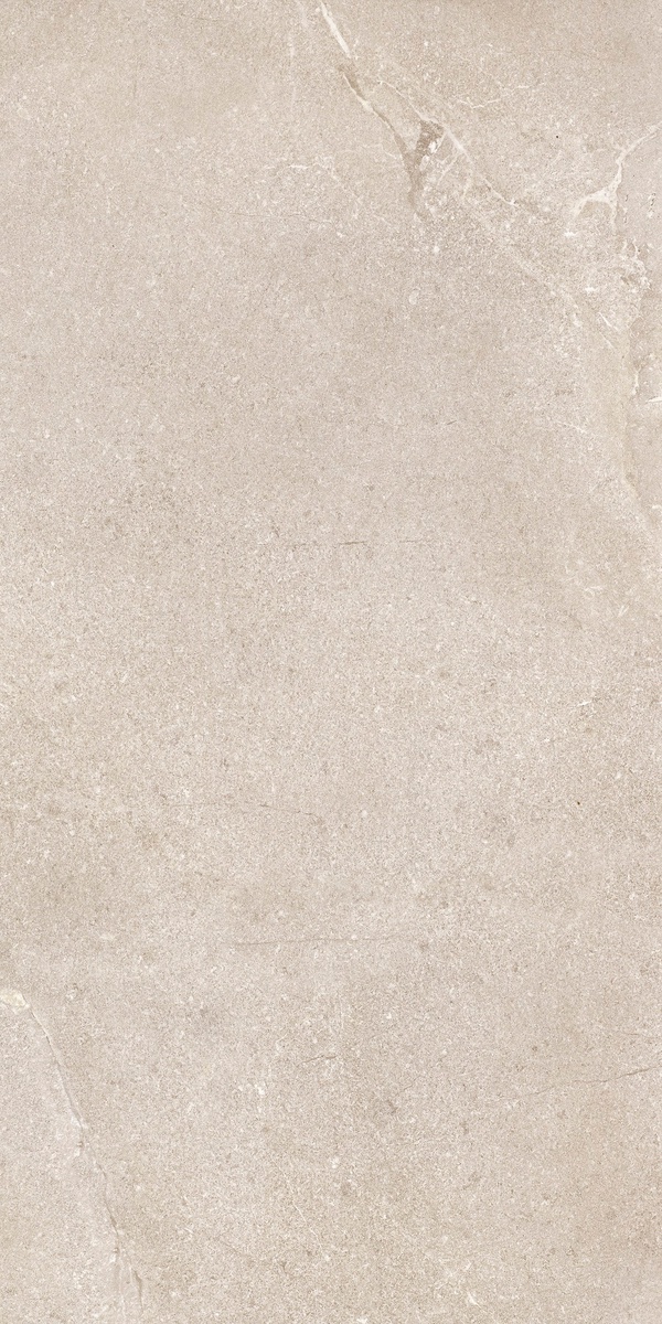 DNWS201 На пол New Stone Daino 60x120 - фото 7