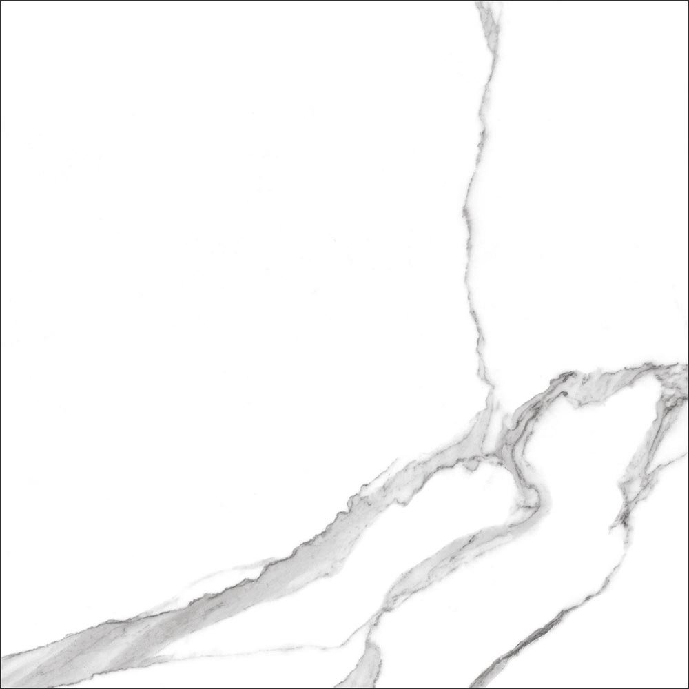 GT60601503MR На пол Anima Белый грес глаз. матовый - фото 16