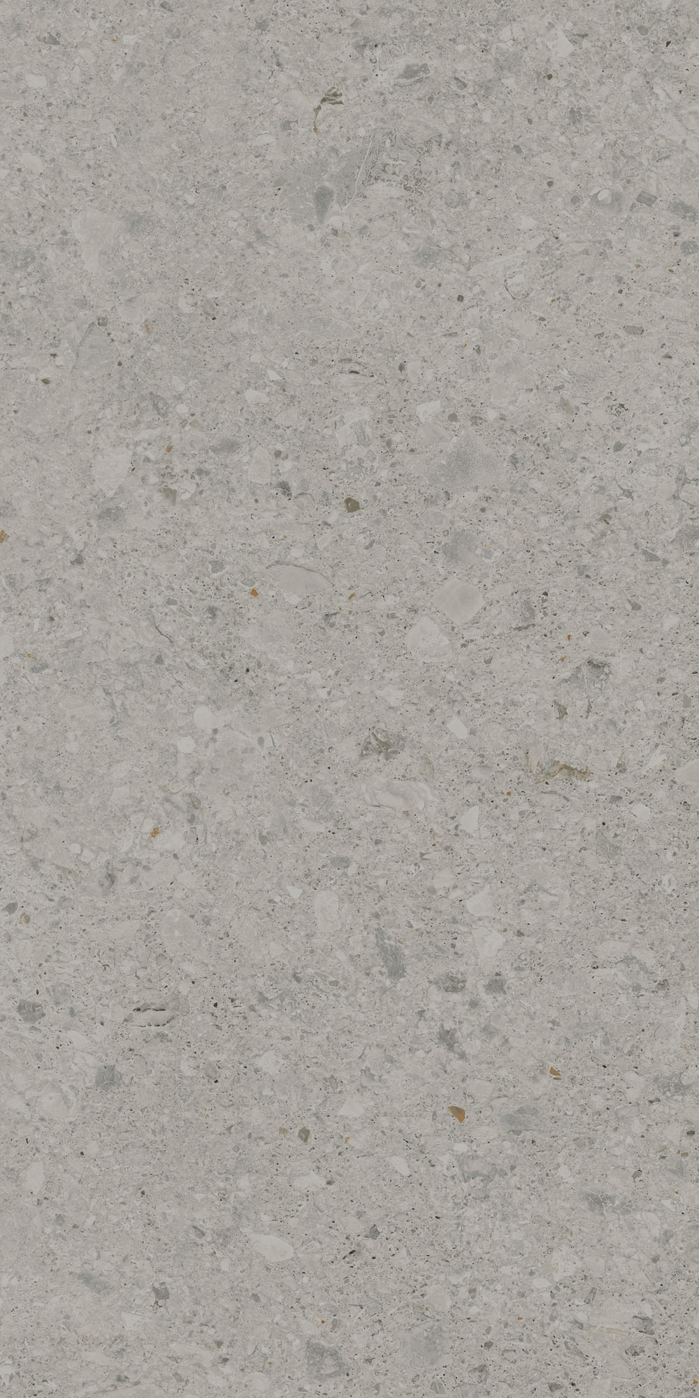 DD591420R На пол Чеппо ди Гре Серый матовый обрезной 119.5x238.5x0.9 - фото 8