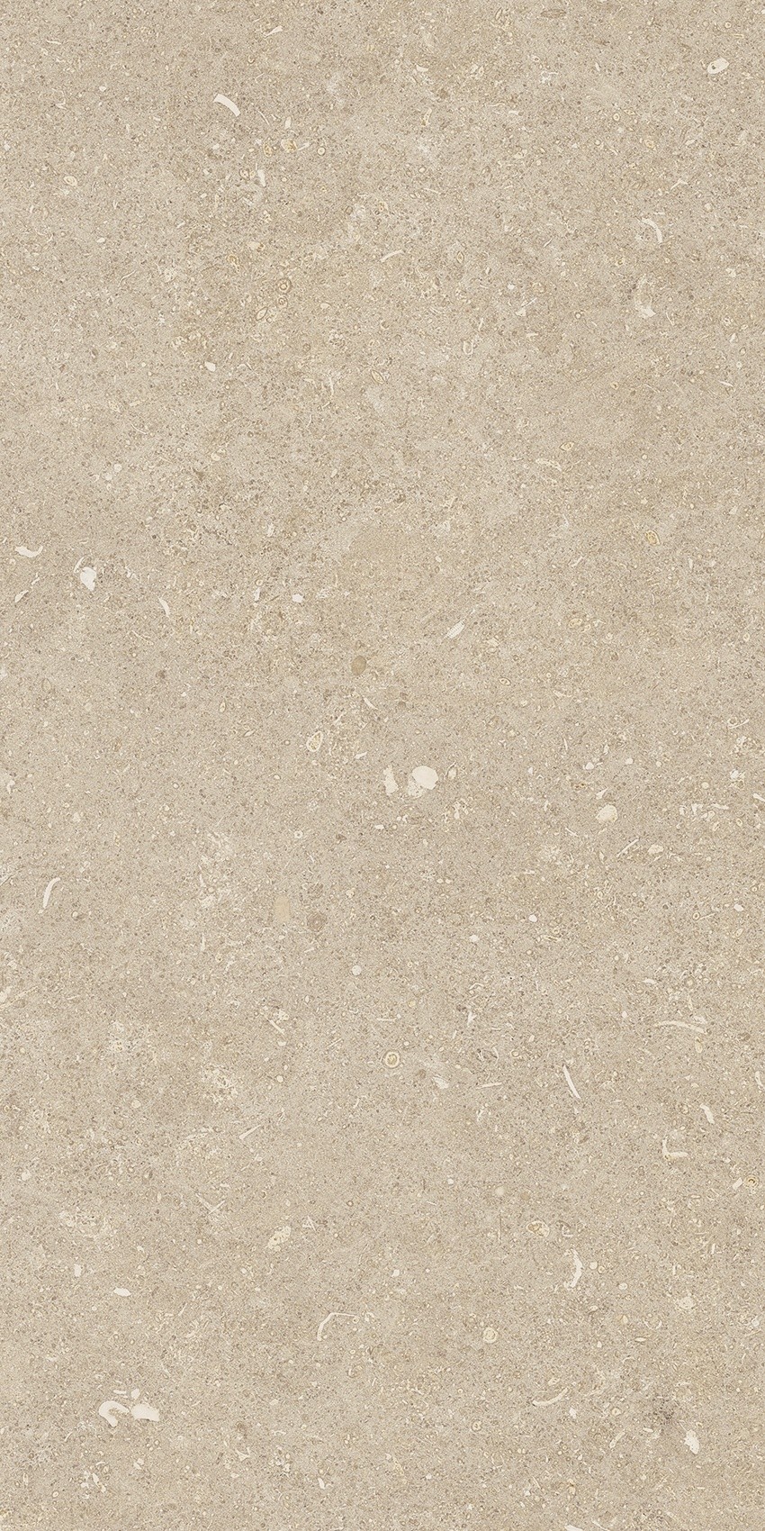 785501 На пол Rinascenza Arena Conchiglia Grip 30x60 - фото 4