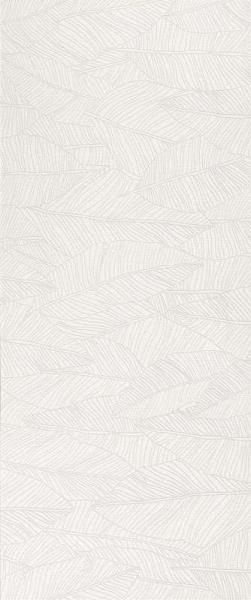 A6FC Декор Aplomb White Leaf 50x120