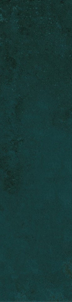 12-00-4-29-04-71-2563 На стену Magic Mint 5.85x24 - фото 4