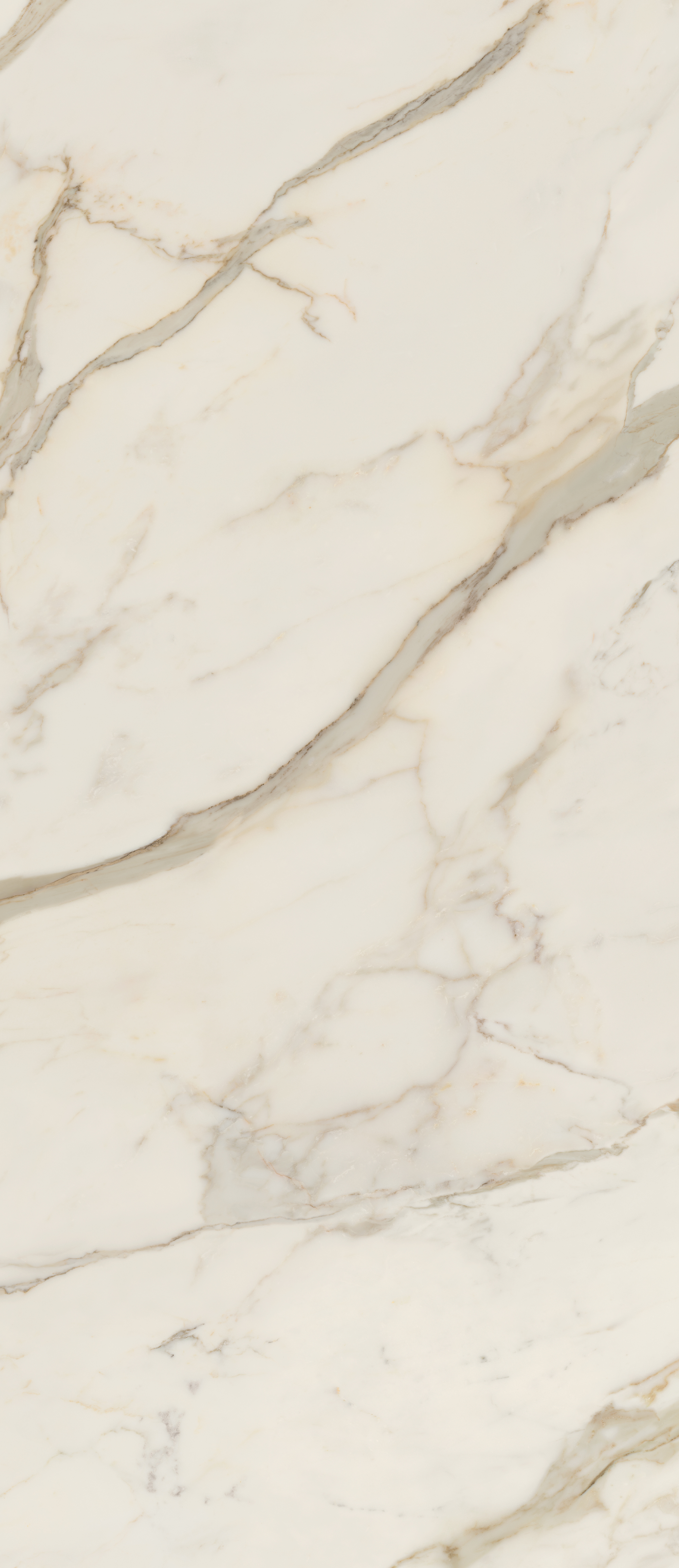 AGCJ На пол Anima Futura Golden White Luc. 278x120 - фото 5