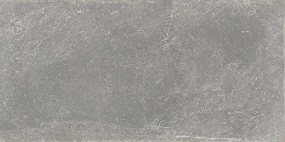 P0003697 На пол Bleuemix Grey 60x120 - фото 4