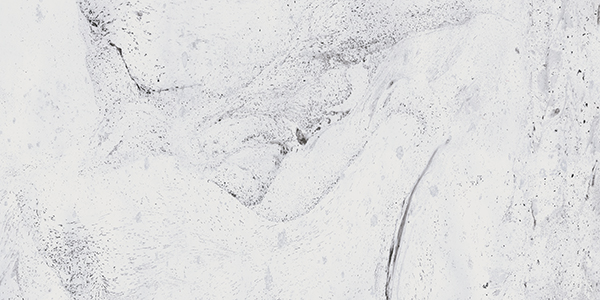 010402001277 На стену Inverno White wall 01 - фото 6