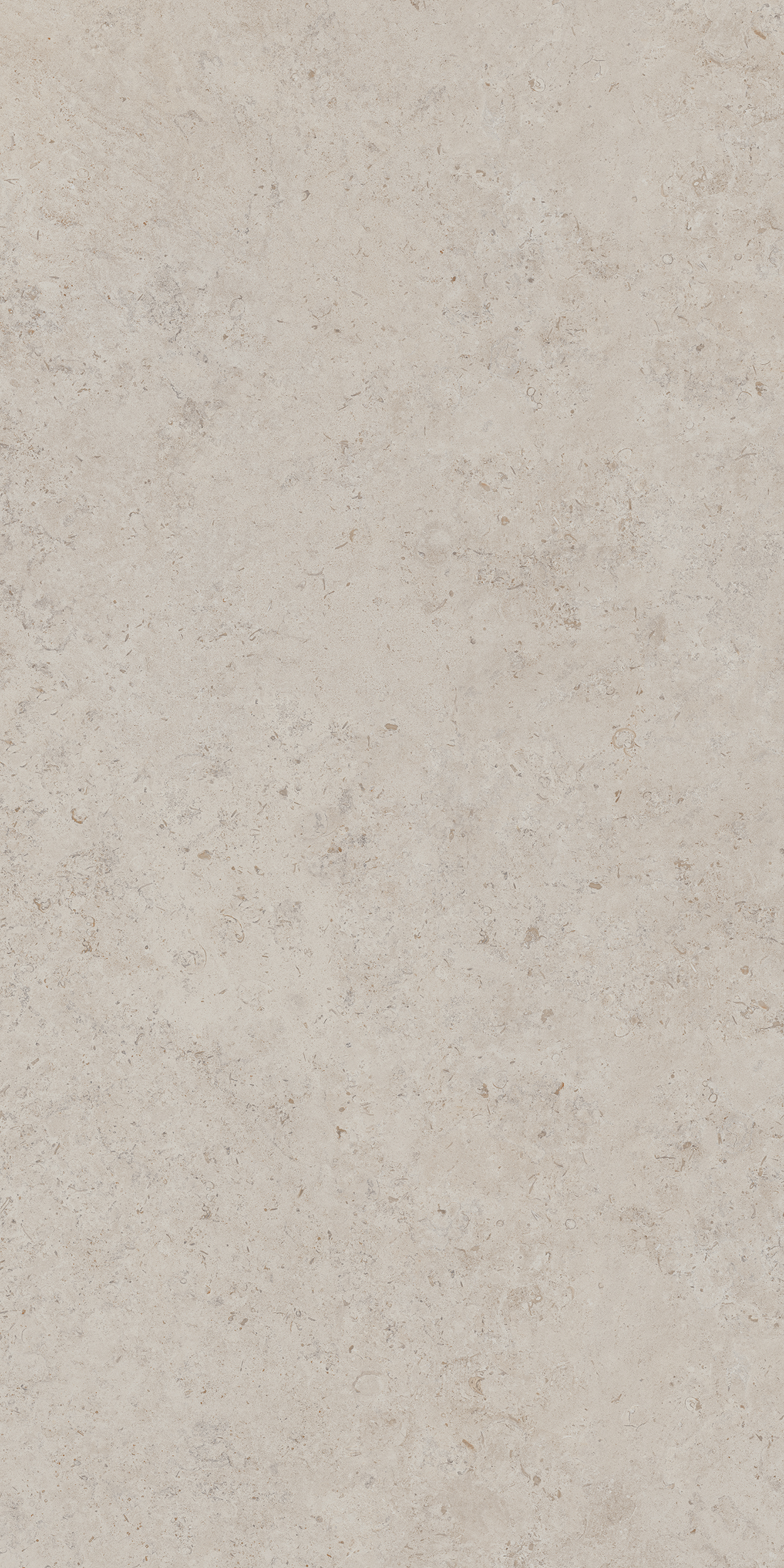 DD590400R На пол Про Лаймстоун Ат Бежевый Натуральный Обрезной 119.5х238.5 - фото 7