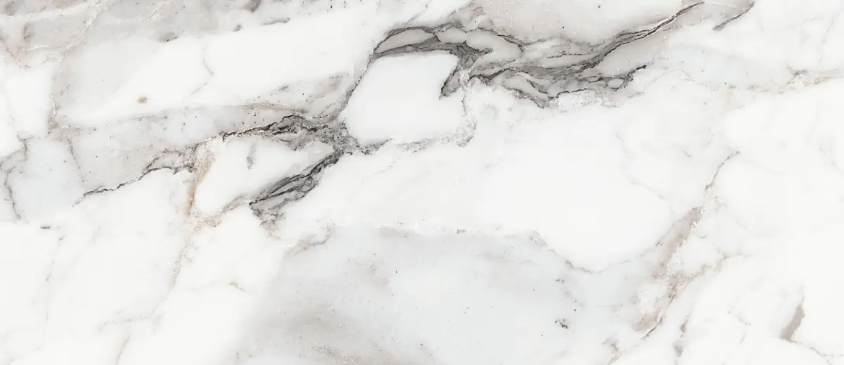 769971 На пол Les Origines De Rex Argent Matt 6mm 120x280 R - фото 3