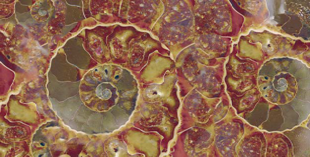 FM3366 На пол Natural Series Fossil Mix 33х66 - фото 9