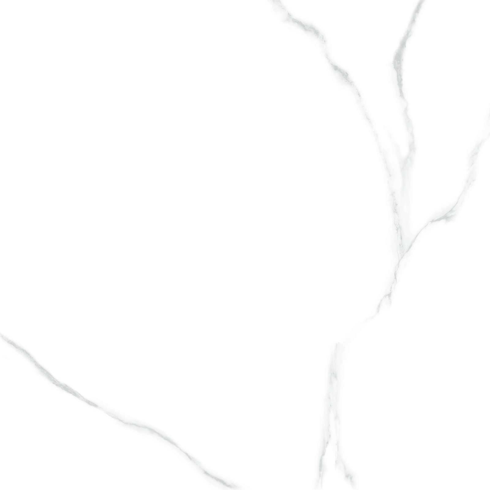 6060AMR00P На пол Atlantic Marble White 60 - фото 3