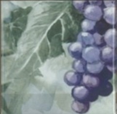 Панно Monocolor Composicion Acuarela Uvas - фото 8