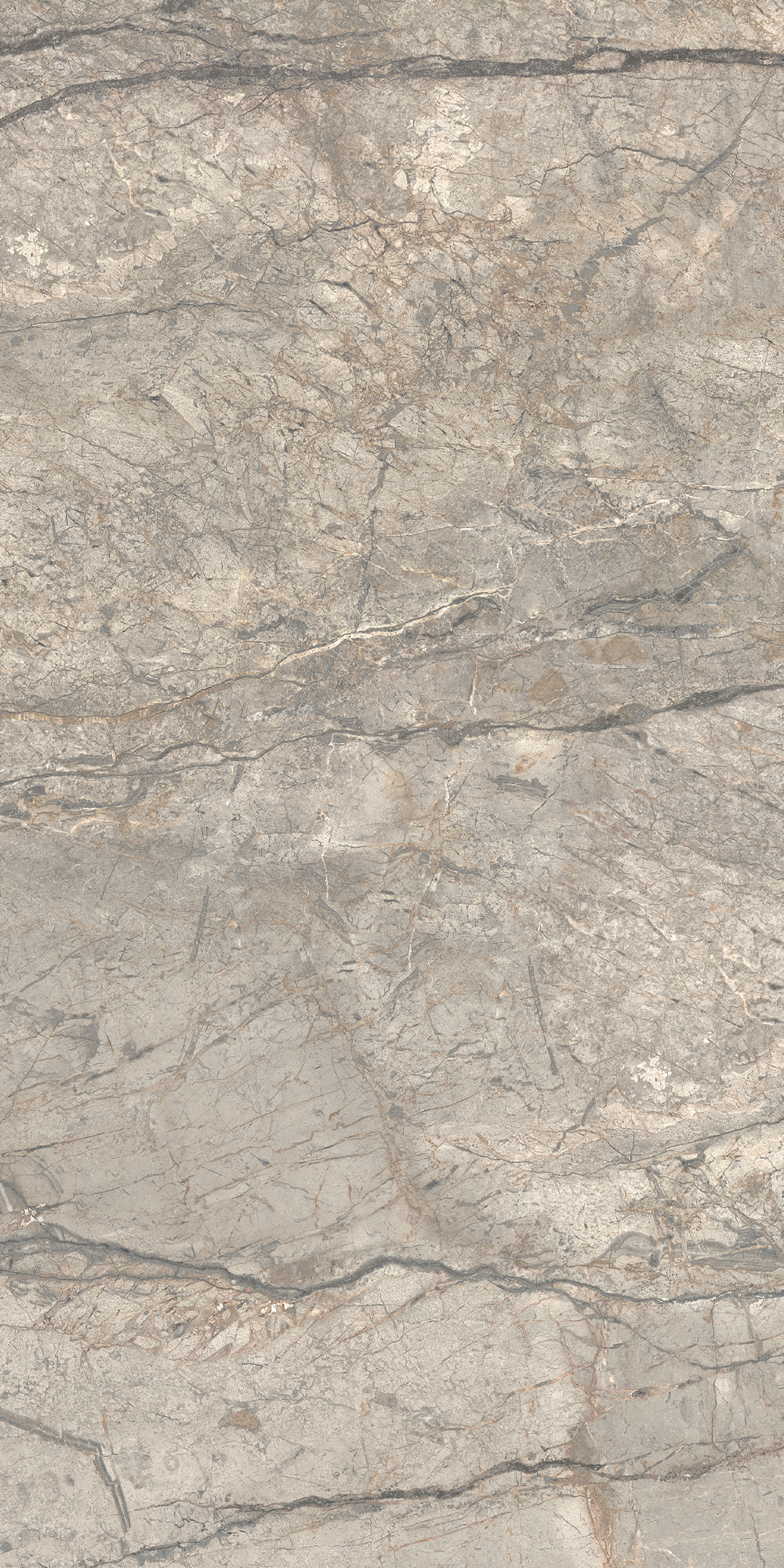 AGB2 На пол Anima Futura Silver Matt R9 60x120 - фото 5