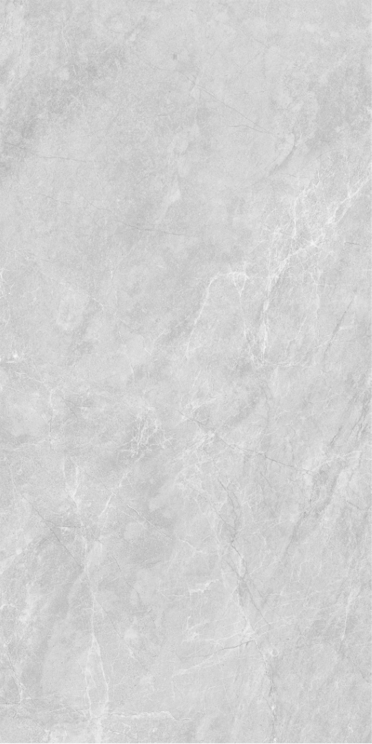 010400001373 На пол Super stone Grey PG 11 60х120 - фото 3