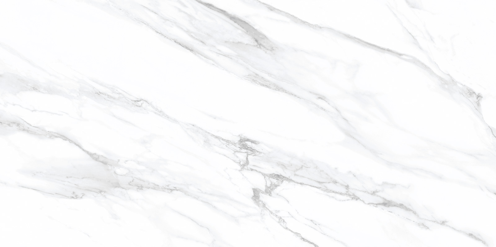 TWU09VEG007 На стену Vega Vegas