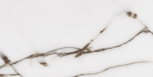 CV20195 На пол Onix One Fancy Onix Grey Glossy 60x120