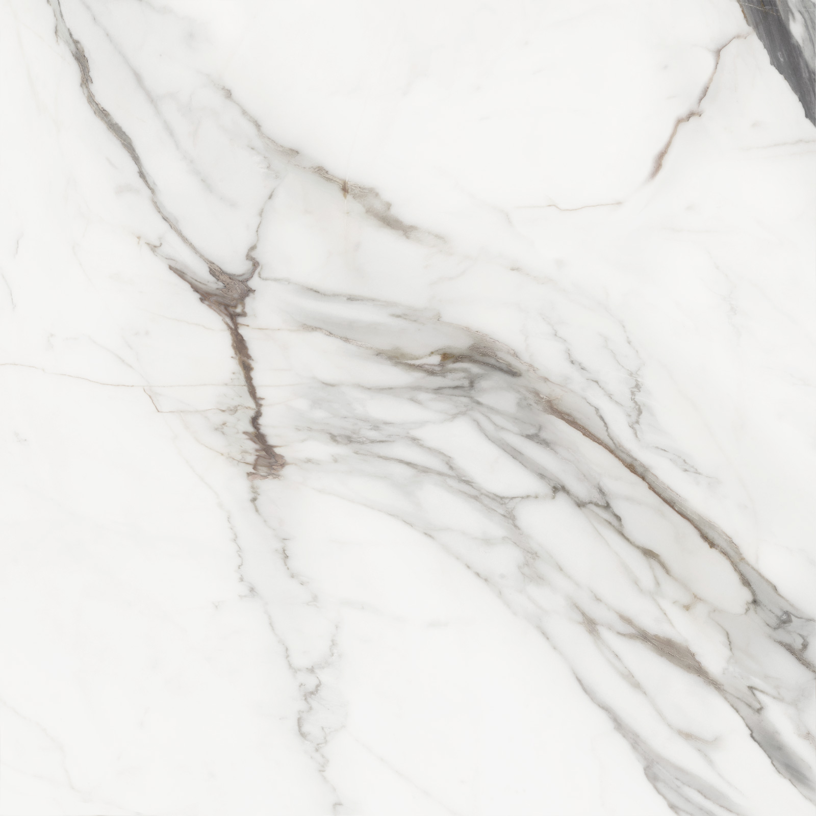 D60208M Напольный Carrara Cersei Белый карвинг 600x600x9.5 - фото 6