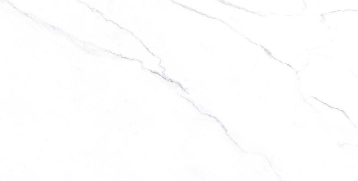 ENMAR1005MT60120 Напольный Marble Carrara Bianco Matt - фото 4