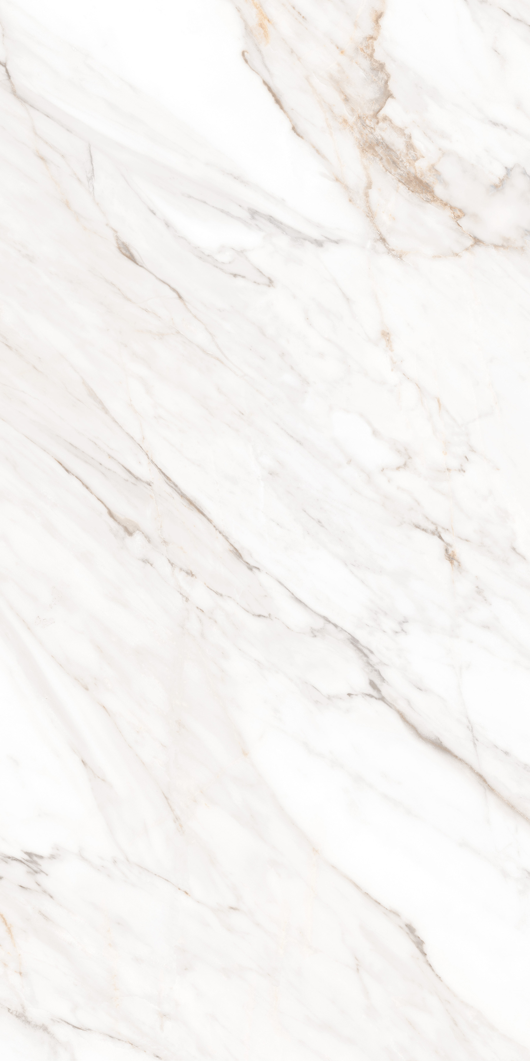 MPL-058630 На пол Simero Calacatta Gold Satin 60x120