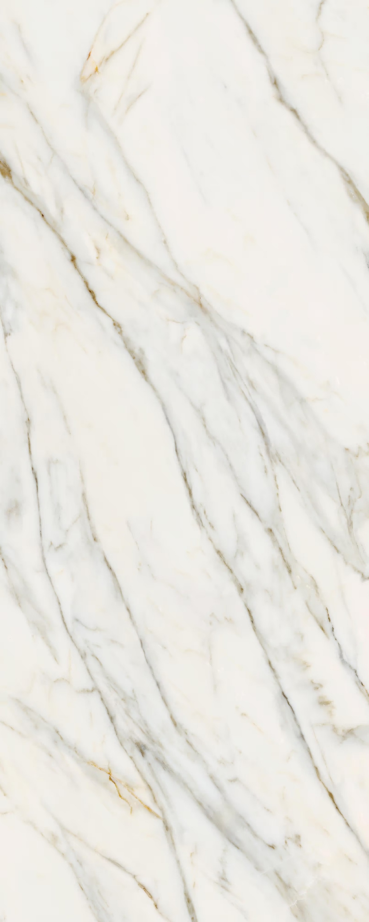 LAMF011482 На пол I Naturali Marmi Сalacata Gold Soft Touch 5 1200x3000