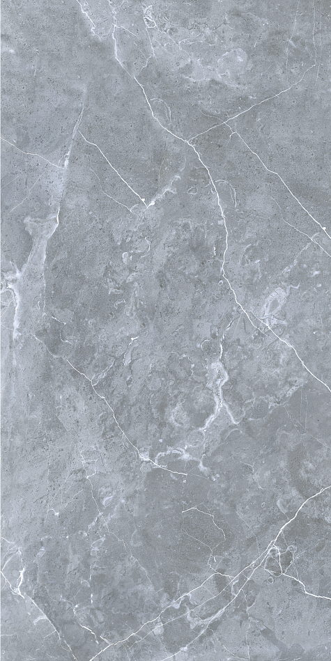 GRS02-12 На пол Petra Northen Silver 120x60