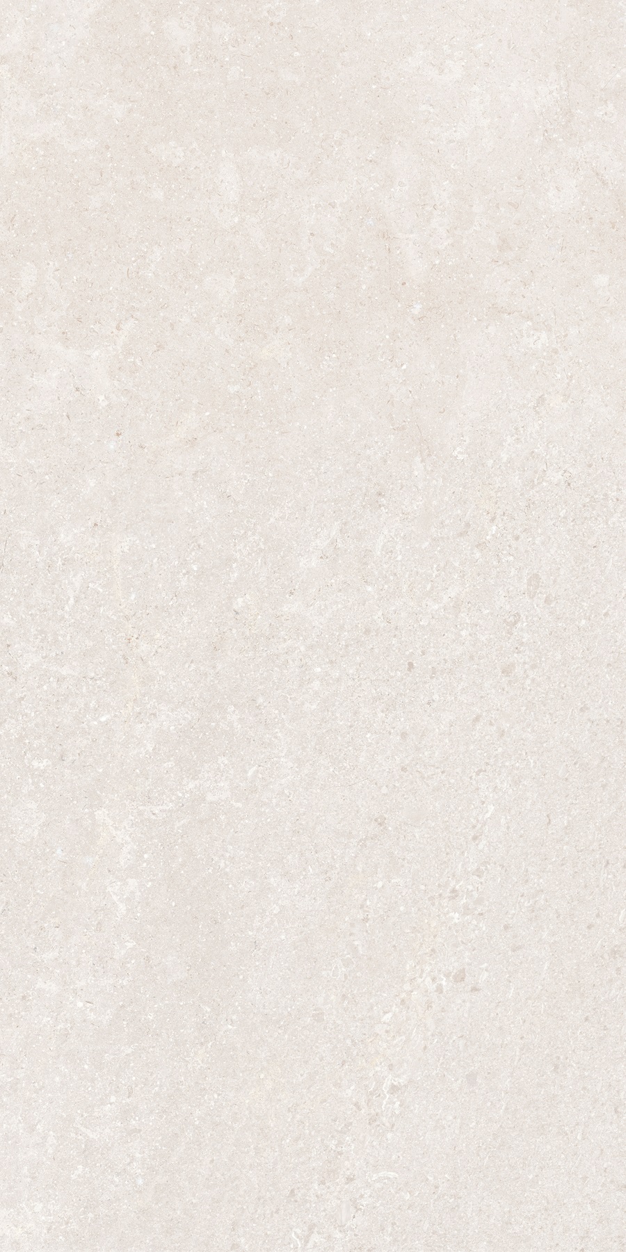 K948597R0001VTER На пол SandStone Белый Матовый R10A Ректификат 60х120 - фото 8