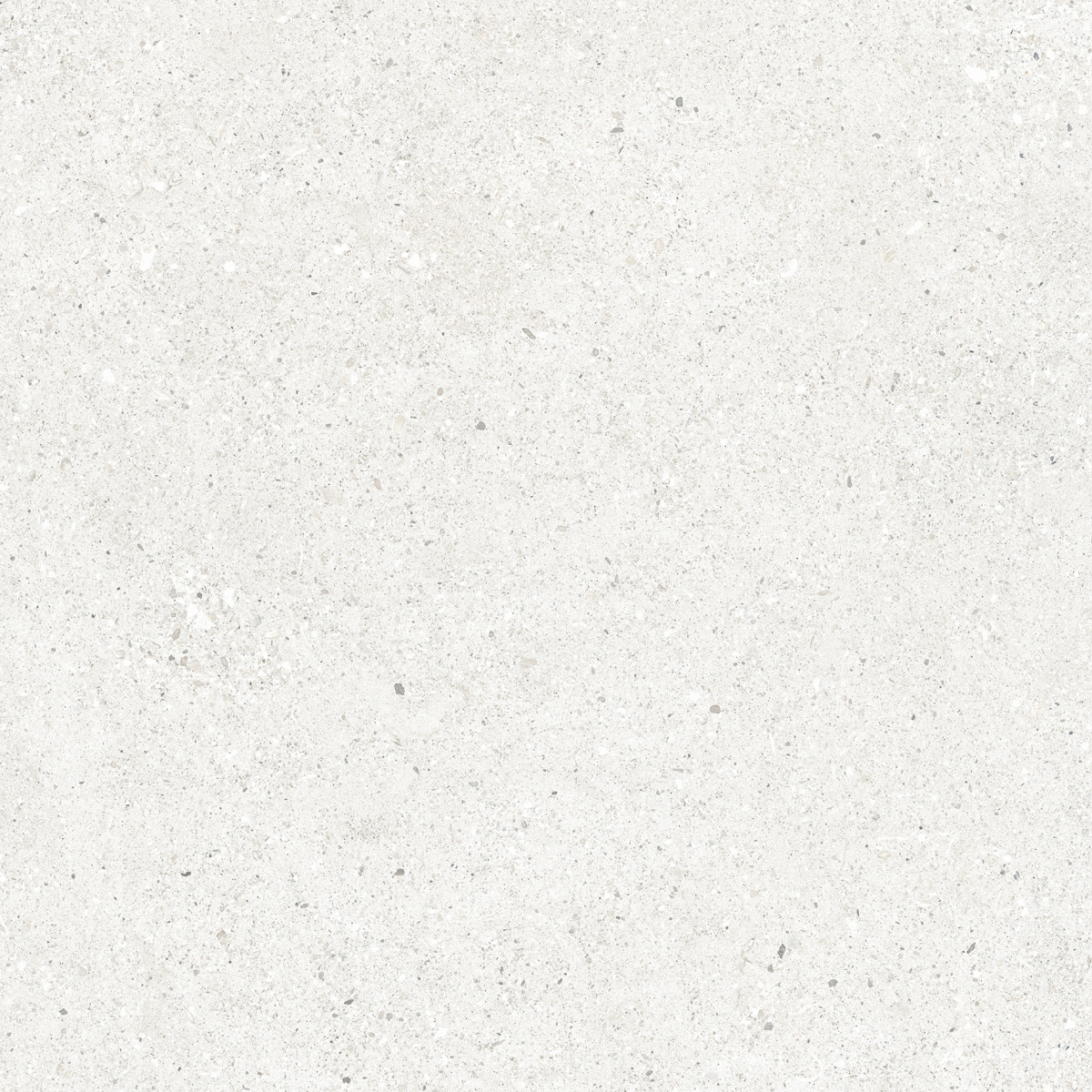 CR6060G0471R На пол Perla Bianco светло-серый матовый 59.5х59.5 - фото 8