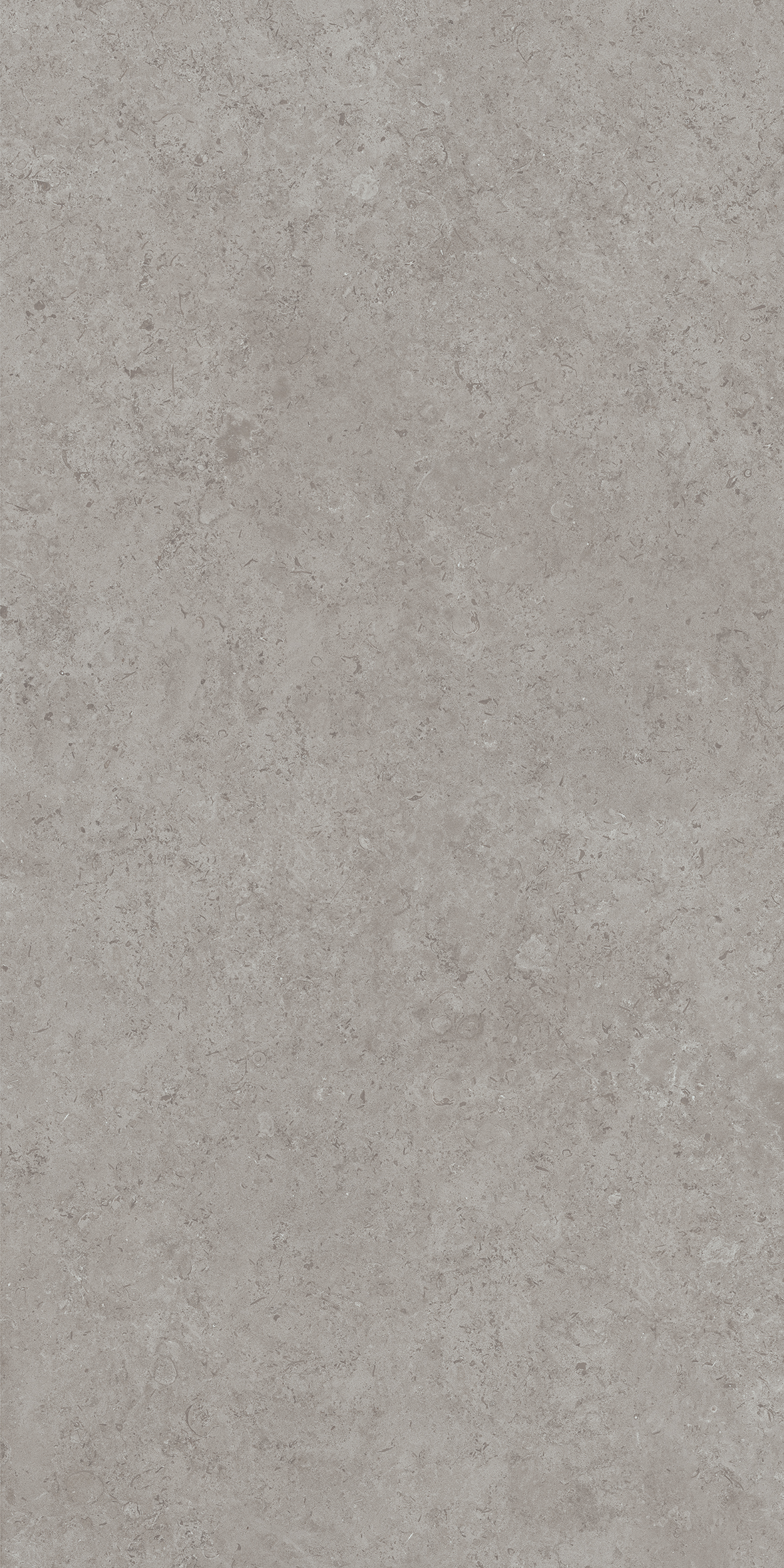 DD590600R На пол Про Лаймстоун Ат Серый Натуральный Обрезной 119.5х238.5 - фото 2