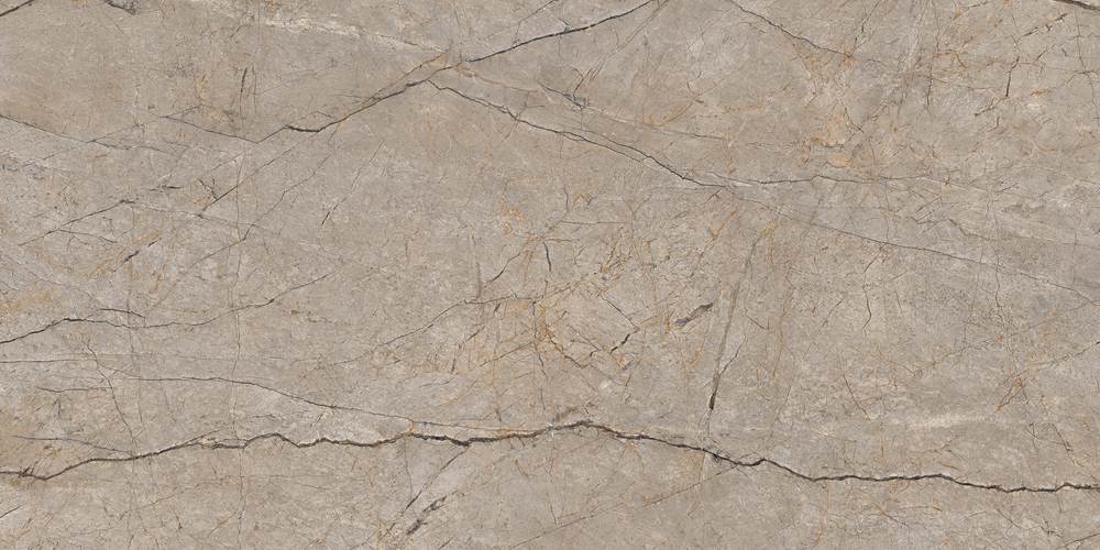 A17124 На пол Silver Roots Серый матовый ректификат 60x120 - фото 6