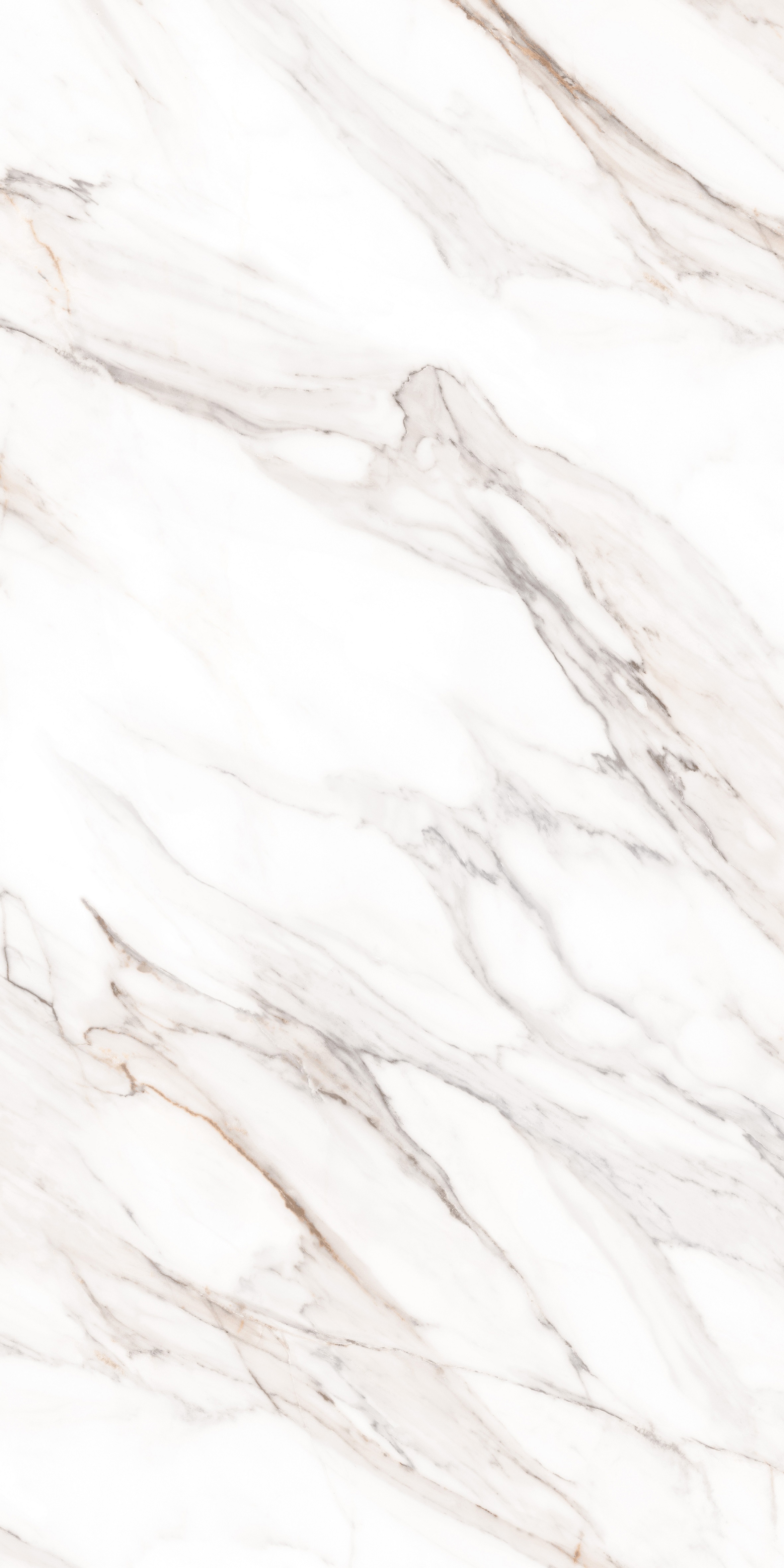 MPL-058640 На пол Simero Calacatta Gold Polished 80x160 - фото 5