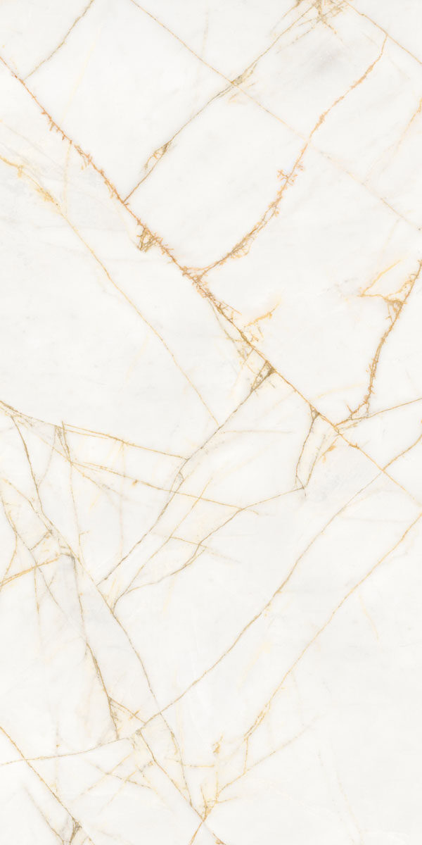 PF60017518 На пол Supreme Hedonism Golden Spider Nat R 60x120 - фото 9