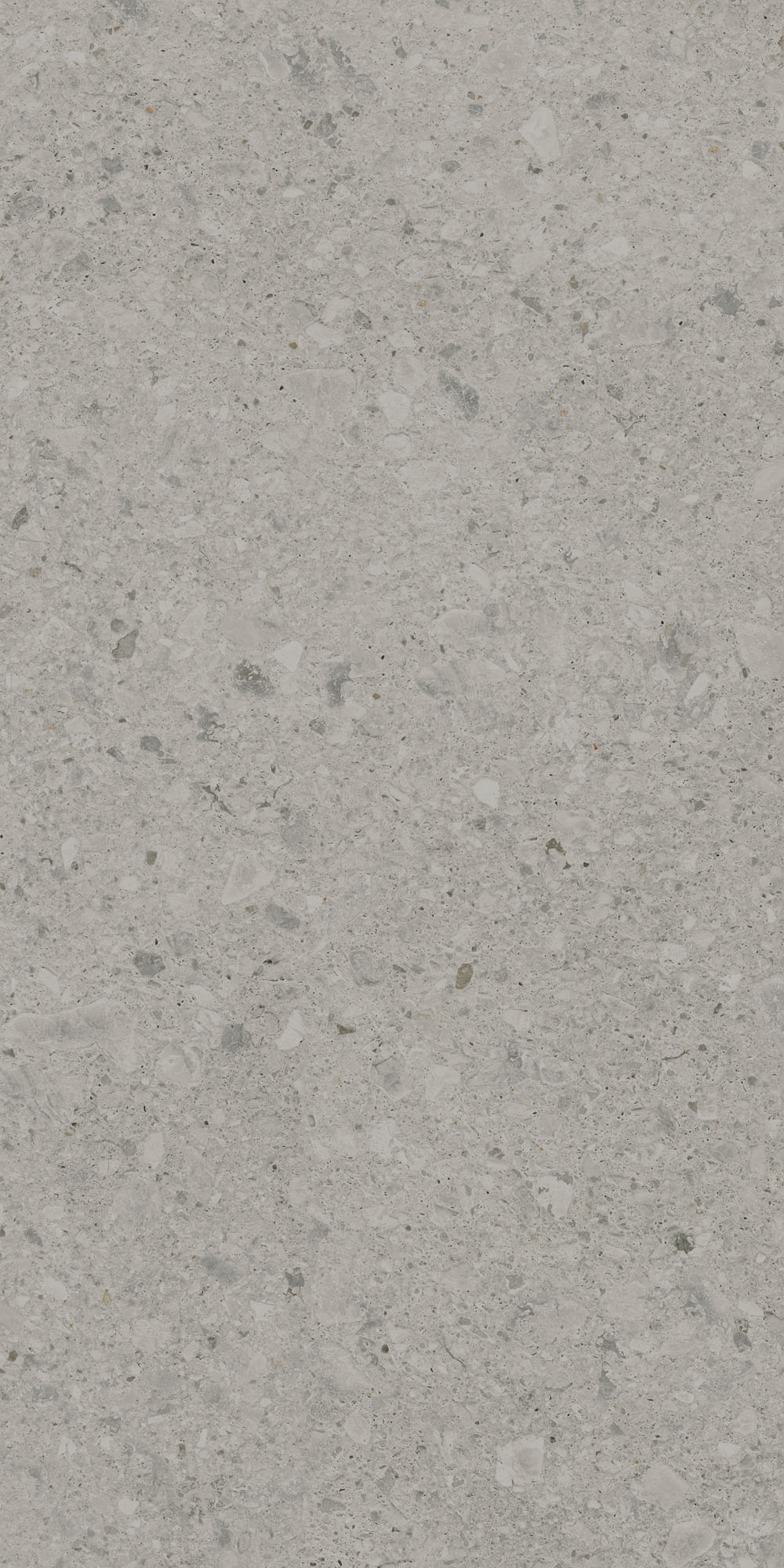 DD591420R На пол Чеппо ди Гре Серый матовый обрезной 119.5x238.5x0.9 - фото 2