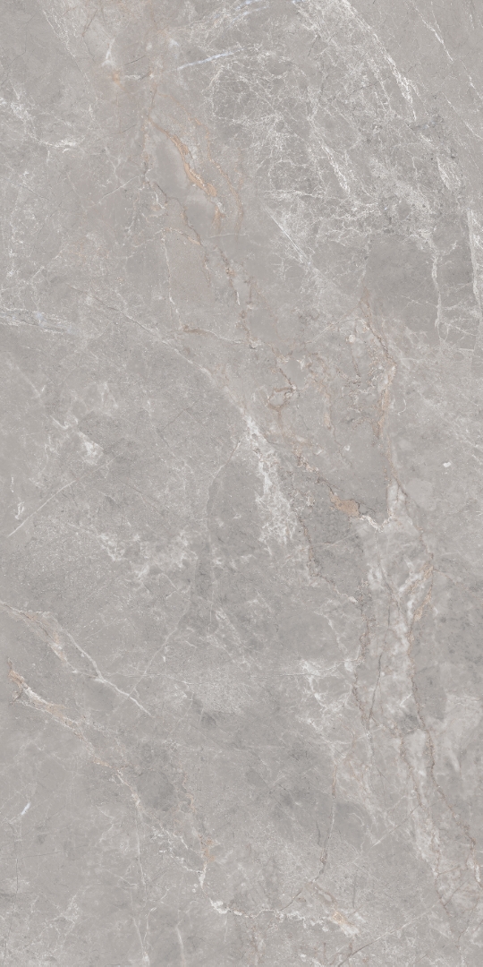 GT1206019601MDGR На пол Anatolia Серый матовый 60x120 - фото 3