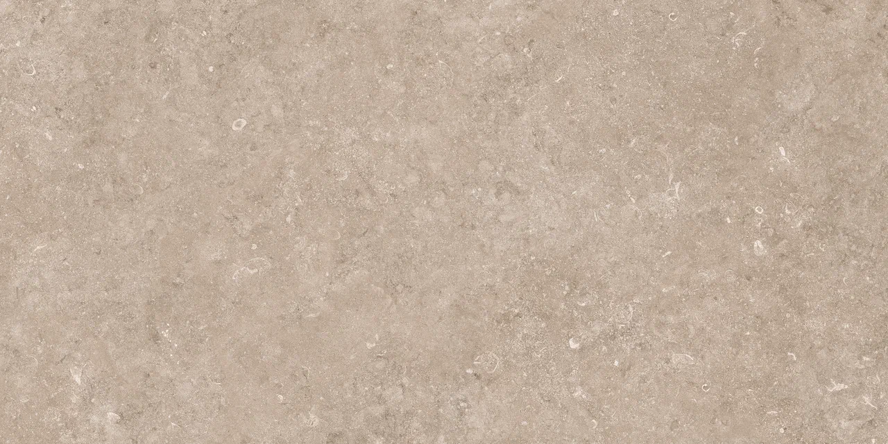 N12050 На пол Stone Pariso Tobacco Matt 60x120 - фото 2