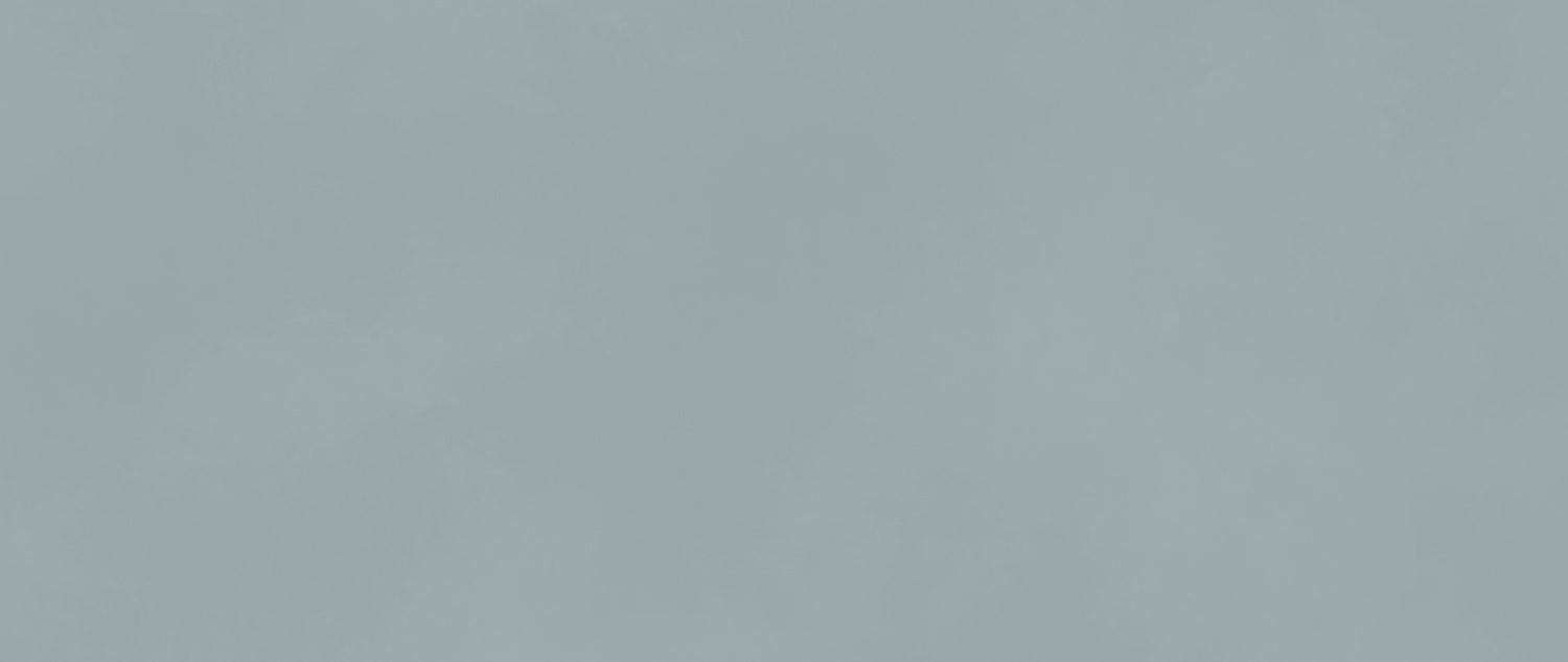 AKM8 На стену Boost Color Iris 50x120 - фото 6