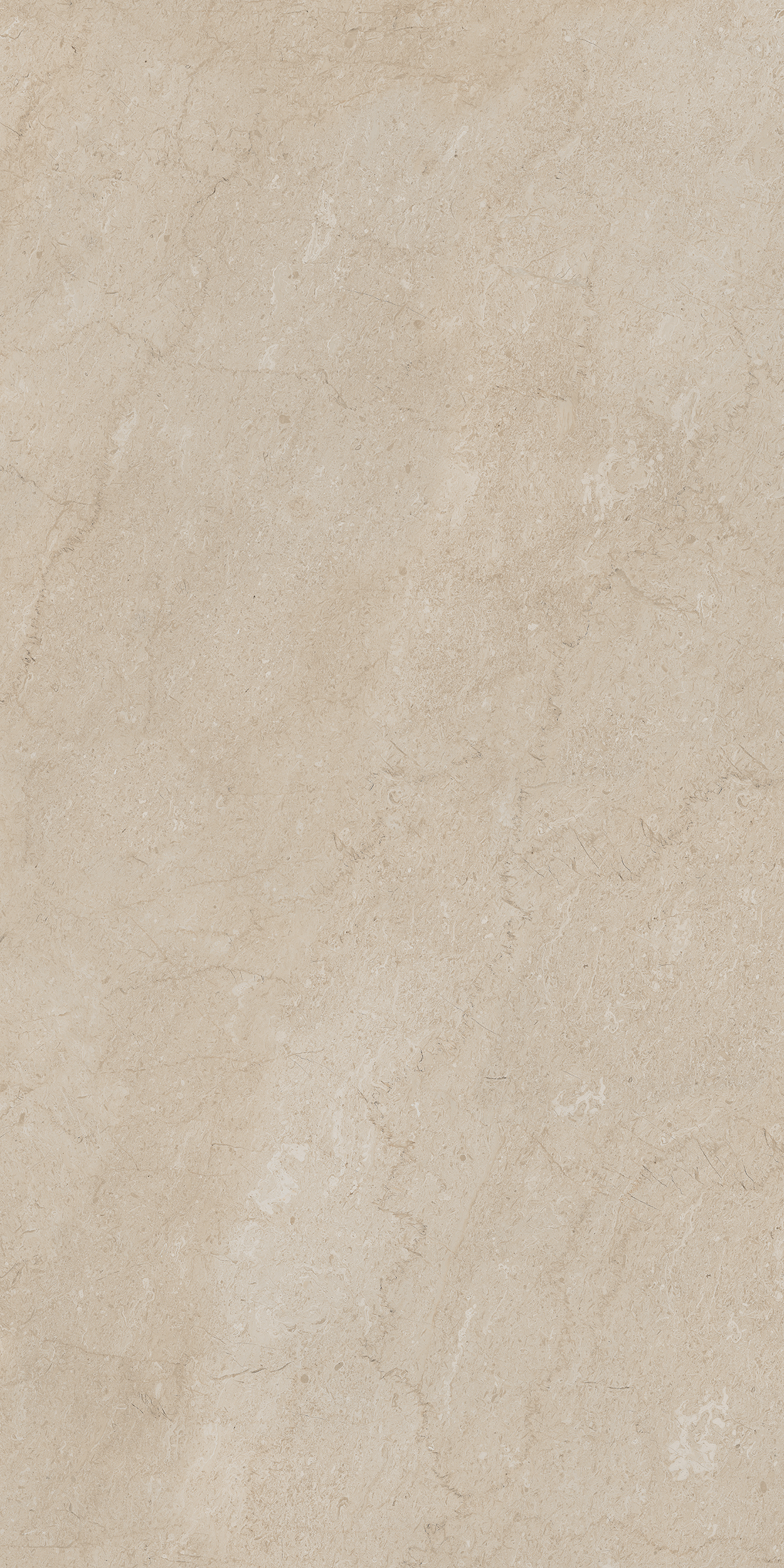 AEM01/NS_R9/80x160x10R/GW На пол Элемента AEM01 Бежевый Неполированный Рект 80x160x10 - фото 7