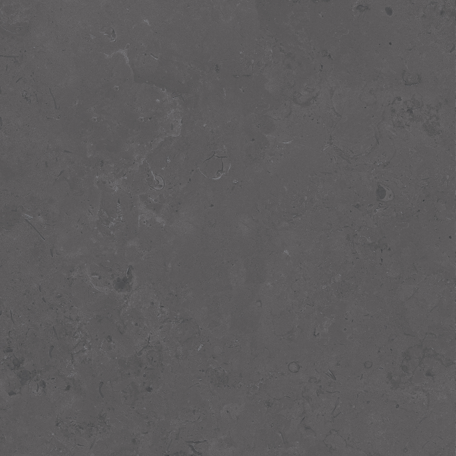 DD640820R На пол Про Лаймстоун Серый темный 9мм 60х60 - фото 3