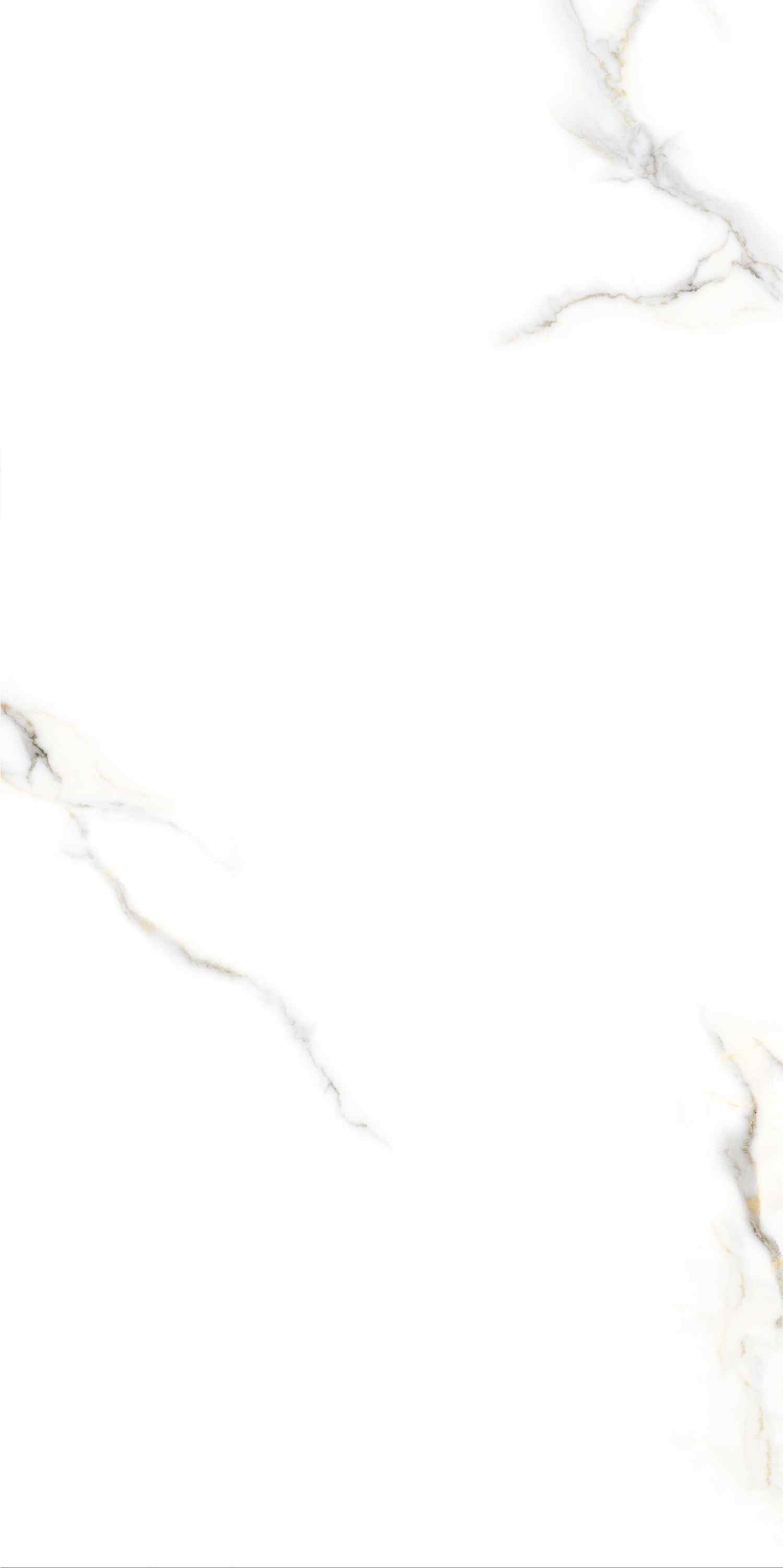 На пол Zoom Satuario Glossy 60х120 - фото 4