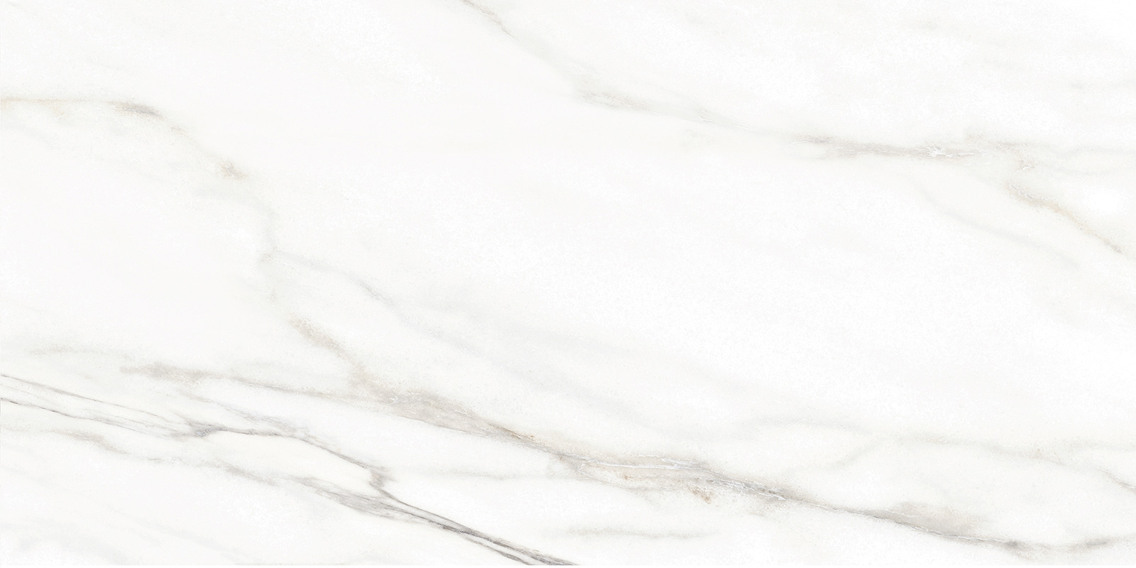 TWU2550BOH07 На стену Euphoria 04 249x500x7 - фото 12