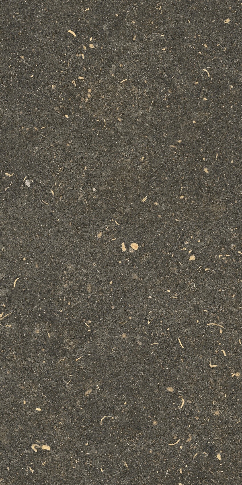 785491 На пол Rinascenza Arena Platino Matte 30x60 - фото 4