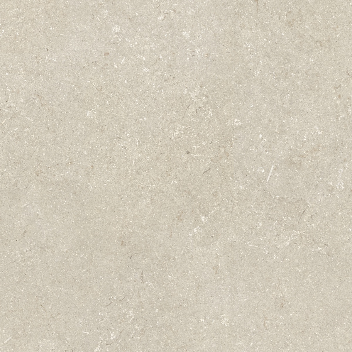 005848 На пол Shellstone Beige 120x120 - фото 4