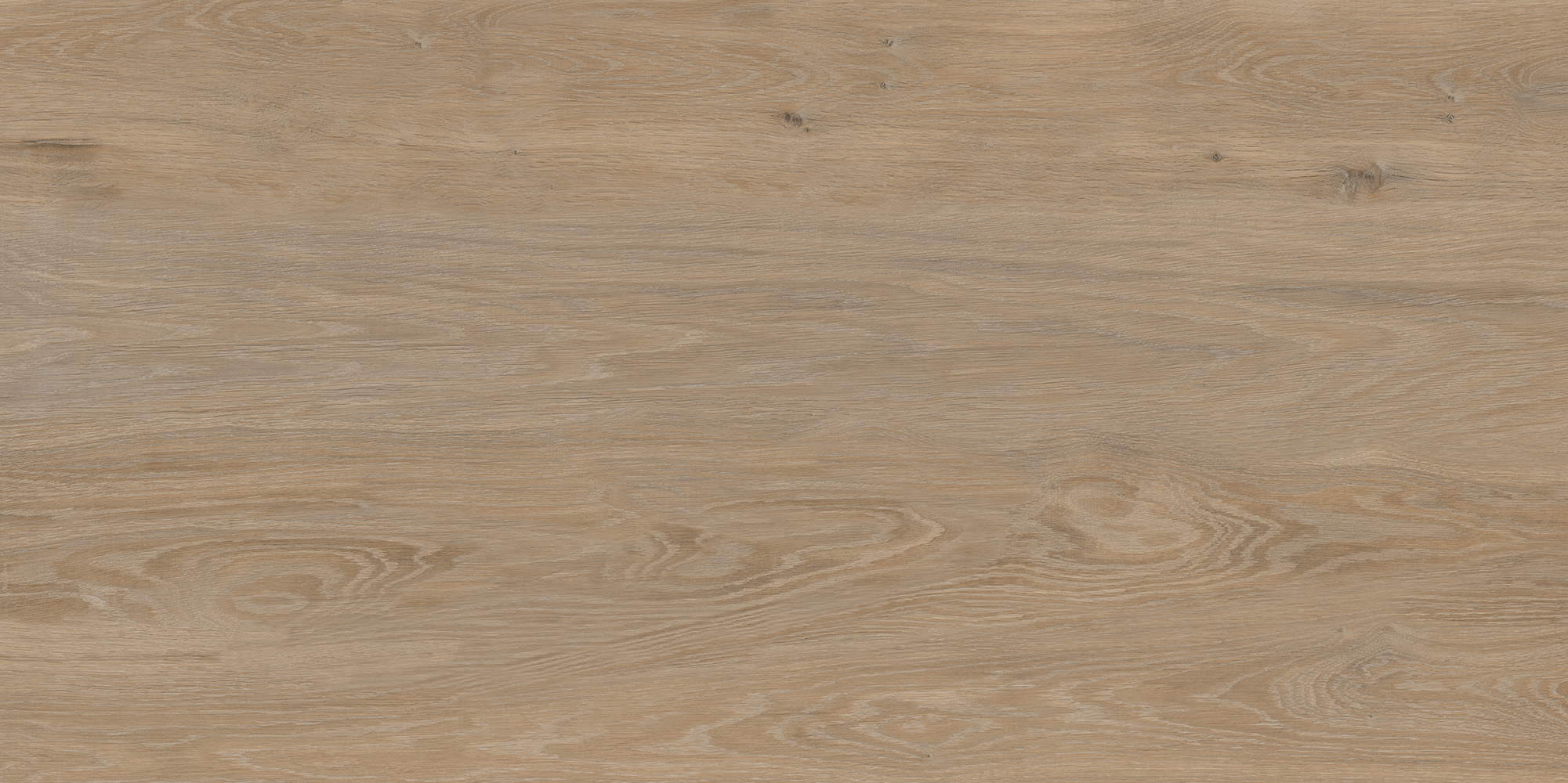 FO0L69M01  Forest Oak 60x120