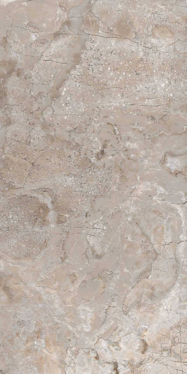 656 На пол Eco Marble 9mm Breccia Primavera 120x60 - фото 4